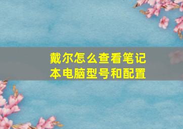 戴尔怎么查看笔记本电脑型号和配置