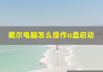 戴尔电脑怎么操作u盘启动