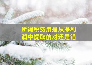 所得税费用是从净利润中提取的对还是错