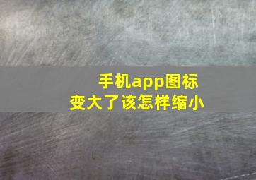 手机app图标变大了该怎样缩小