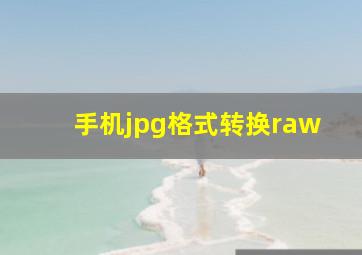 手机jpg格式转换raw