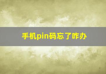 手机pin码忘了咋办