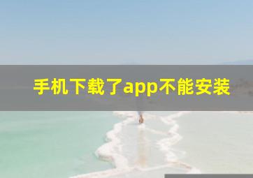 手机下载了app不能安装