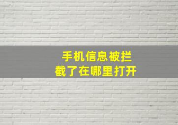 手机信息被拦截了在哪里打开