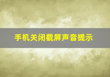 手机关闭截屏声音提示