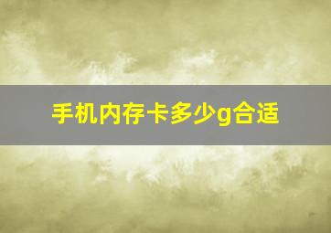 手机内存卡多少g合适