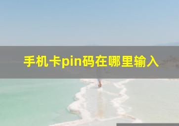 手机卡pin码在哪里输入