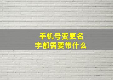 手机号变更名字都需要带什么