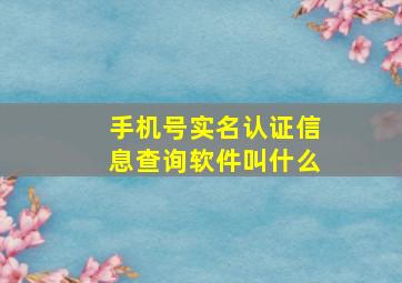 手机号实名认证信息查询软件叫什么