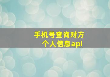 手机号查询对方个人信息api