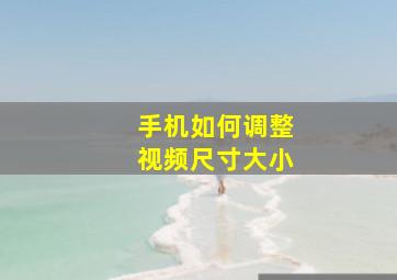 手机如何调整视频尺寸大小