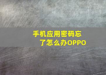 手机应用密码忘了怎么办OPPO