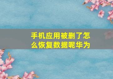 手机应用被删了怎么恢复数据呢华为