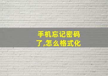 手机忘记密码了,怎么格式化