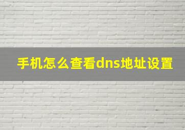 手机怎么查看dns地址设置