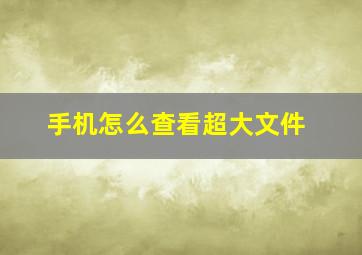 手机怎么查看超大文件