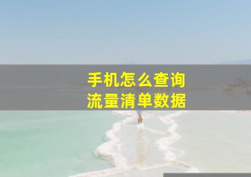 手机怎么查询流量清单数据