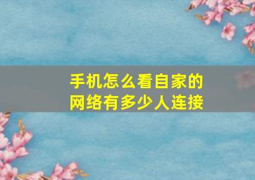 手机怎么看自家的网络有多少人连接