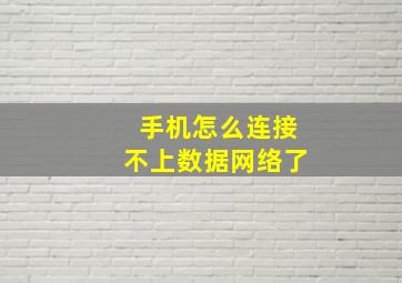 手机怎么连接不上数据网络了