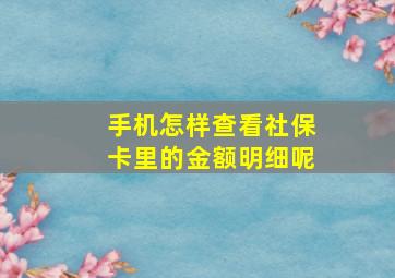 手机怎样查看社保卡里的金额明细呢