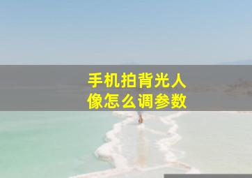 手机拍背光人像怎么调参数