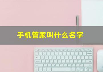 手机管家叫什么名字