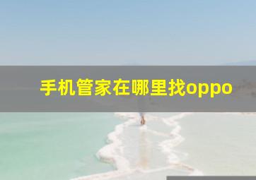 手机管家在哪里找oppo