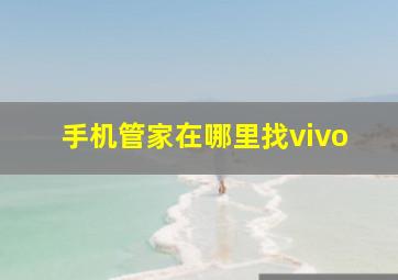 手机管家在哪里找vivo