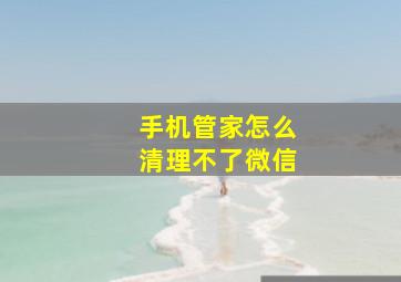 手机管家怎么清理不了微信