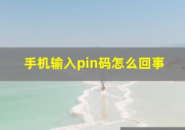 手机输入pin码怎么回事