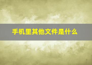 手机里其他文件是什么