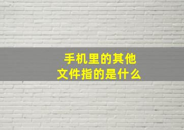 手机里的其他文件指的是什么