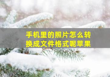 手机里的照片怎么转换成文件格式呢苹果