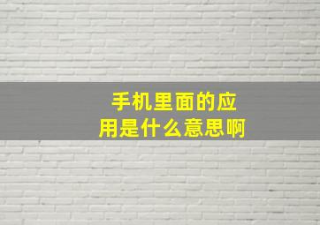 手机里面的应用是什么意思啊