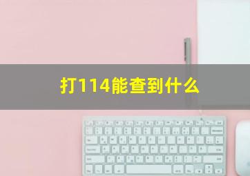 打114能查到什么