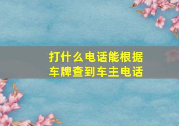 打什么电话能根据车牌查到车主电话