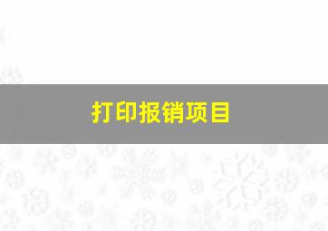 打印报销项目