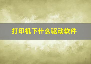 打印机下什么驱动软件