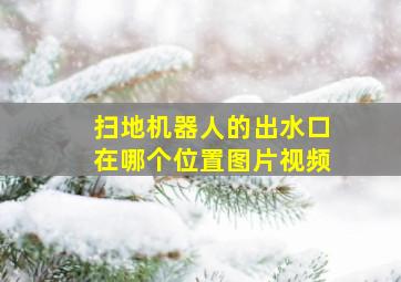 扫地机器人的出水口在哪个位置图片视频