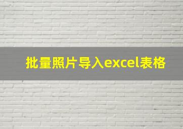 批量照片导入excel表格