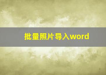 批量照片导入word