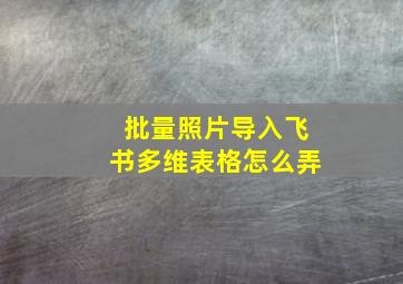 批量照片导入飞书多维表格怎么弄