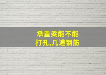 承重梁能不能打孔,几道钢筋