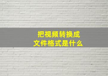 把视频转换成文件格式是什么