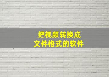 把视频转换成文件格式的软件