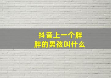 抖音上一个胖胖的男孩叫什么