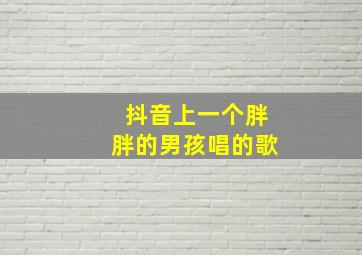 抖音上一个胖胖的男孩唱的歌