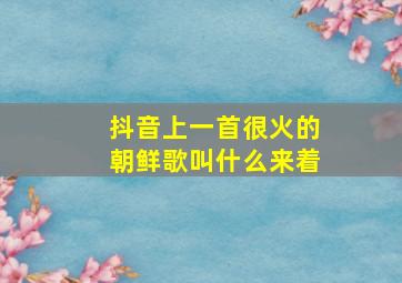 抖音上一首很火的朝鲜歌叫什么来着