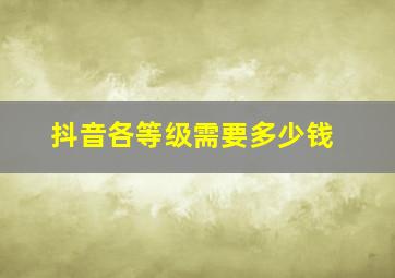 抖音各等级需要多少钱