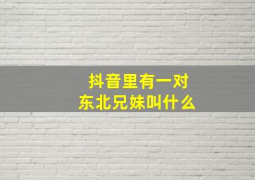 抖音里有一对东北兄妹叫什么